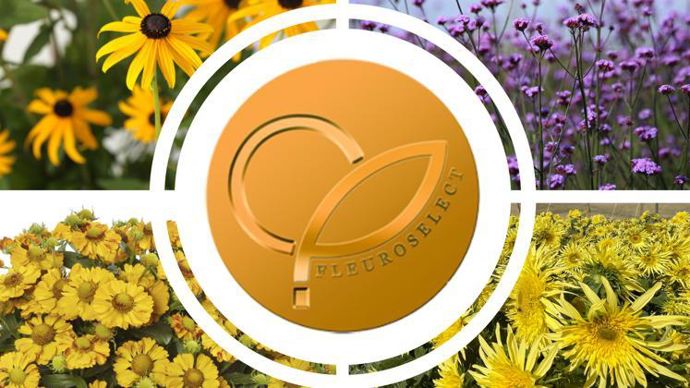 Les quatre médaillées d’or 2023 choisies par le jury de Fleuroselect. 